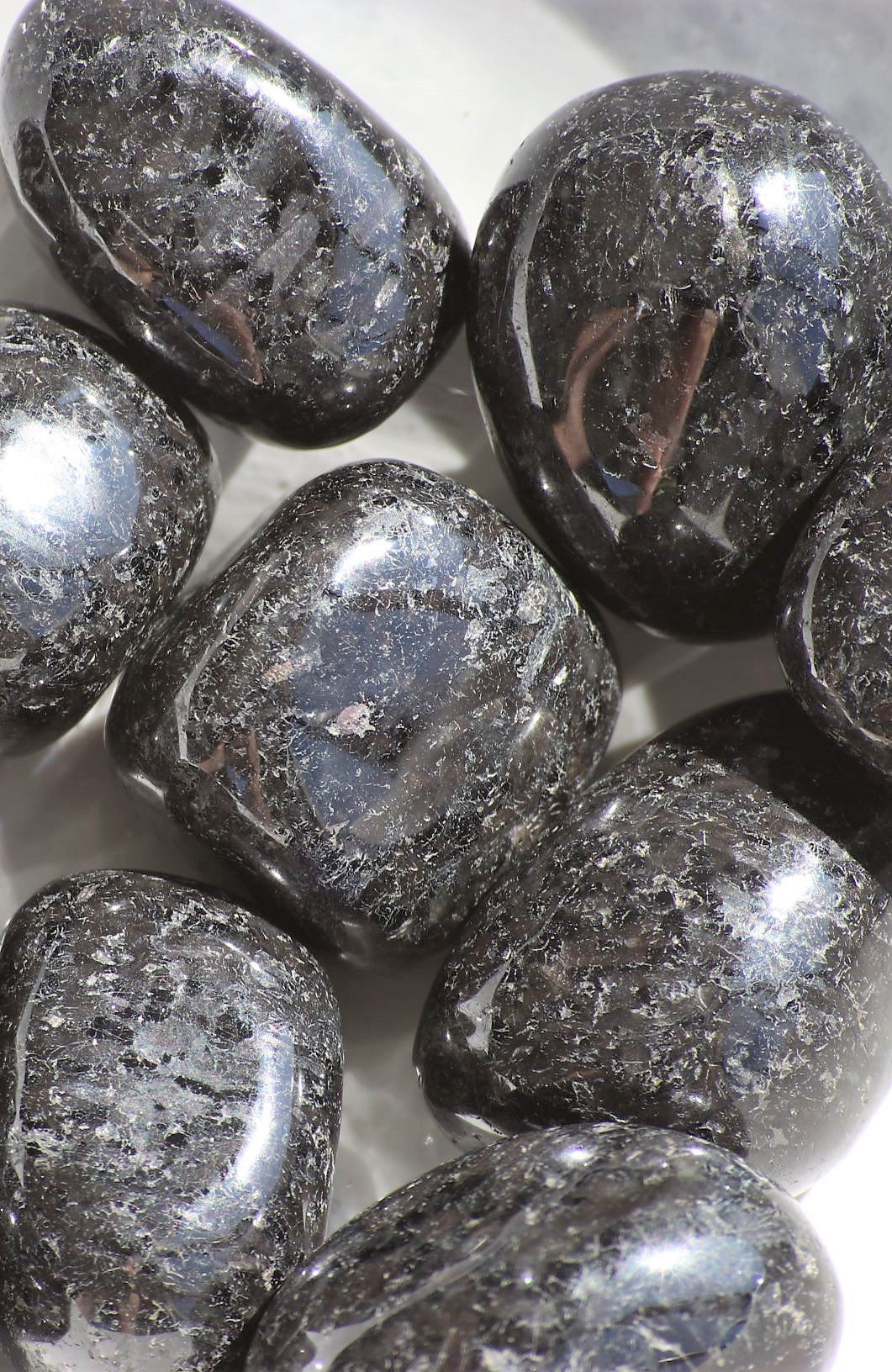 Nuummite Tumbled Stone - A Grade